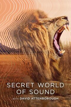 مسلسل Secret World of Sound with David Attenborough الموسم الاول الحلقة 3 والاخيرة موفيز لاند