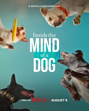 فيلم Inside the Mind of a Dog 2024 مترجم اون لاين موفيز لاند