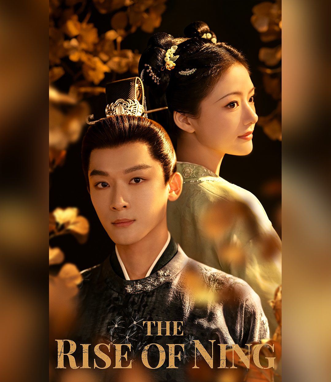 The Rise of Ning حلقة 25 مسلسل صعود نينج الحلقة 25 مترجمة