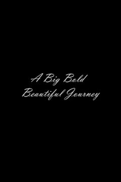 فيلم A Big Bold Beautiful Journey 2025 مترجم اون لاين